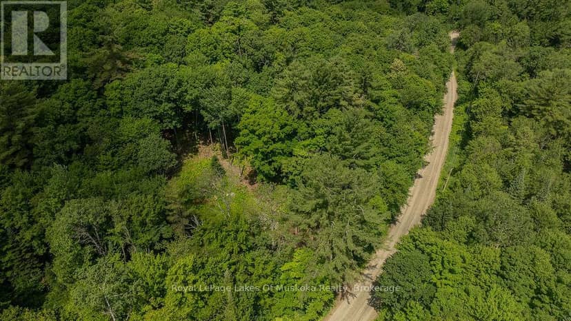 0000 Ril Lake Road S, Lake of Bays, photo 5