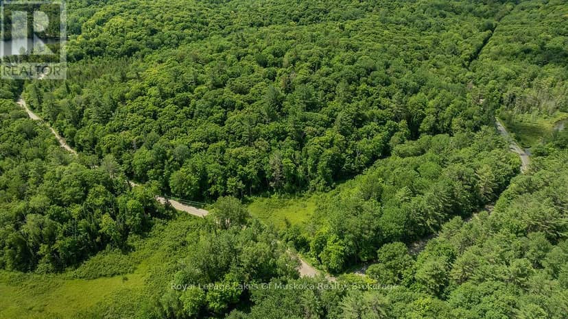 0000 Ril Lake Road S, Lake of Bays, photo 6