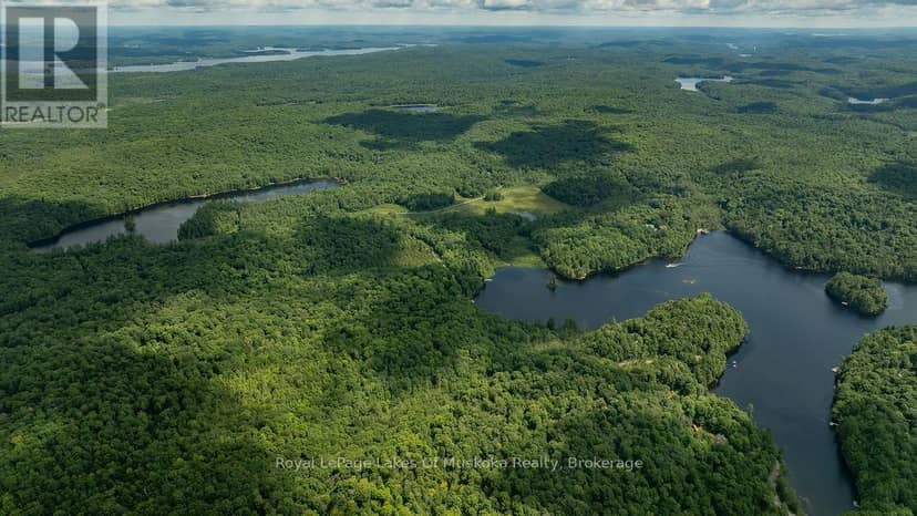 0000 Ril Lake Road S, Lake of Bays, photo 7
