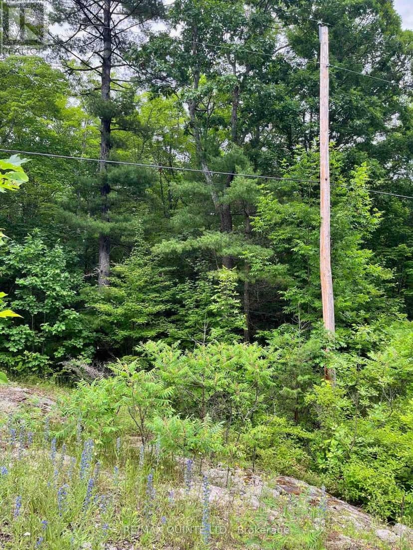 0 (Pin - 40264-0091) Potter Settlement Road — photo 1 of 3