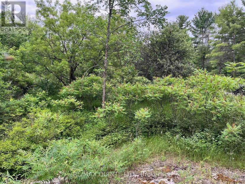 0 (Pin - 40264-0091) Potter Settlement Road — photo 2 of 3