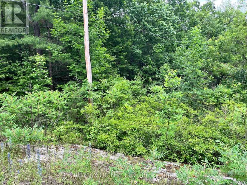 0 (Pin - 40264-0091) Potter Settlement Road — photo 3 of 3