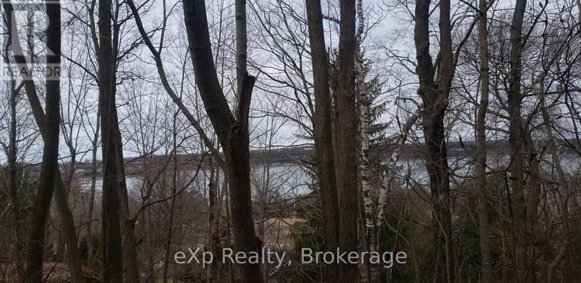 Pt Pklt Ppl ,pt 2 3R-7270 Frank Street — photo 3 of 7