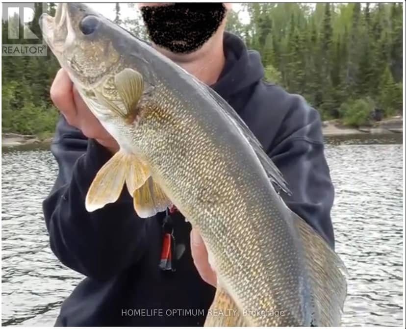 File 229 North Spirit Lake — photo 9 of 11