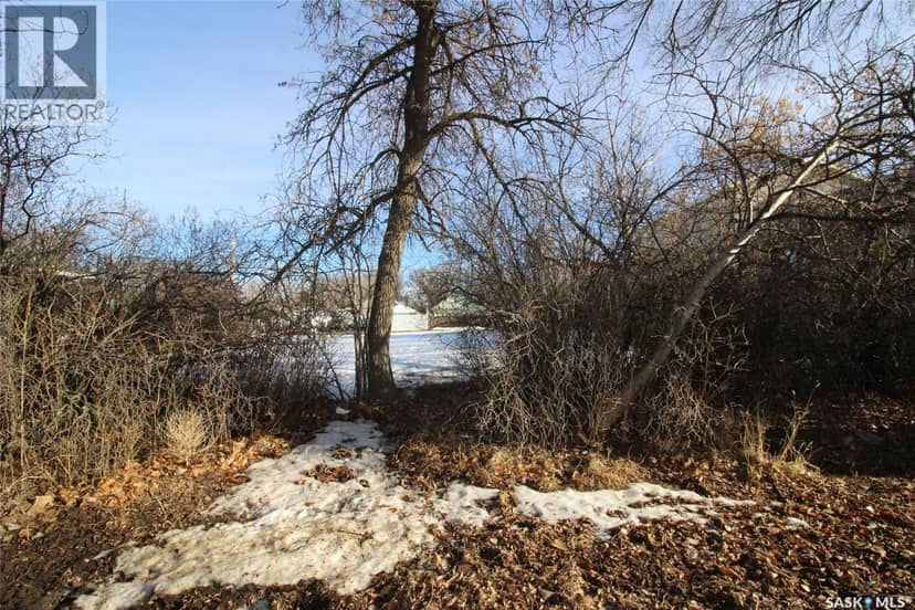 456 3rd STREET W, Shaunavon, photo 2