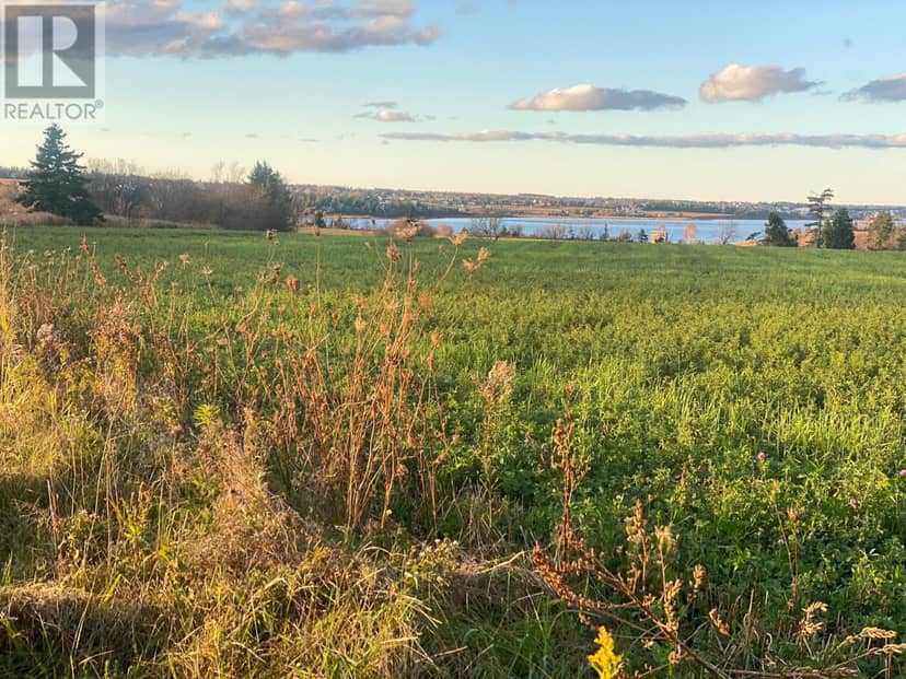 15 Acres Rustico Road — photo 10 of 30