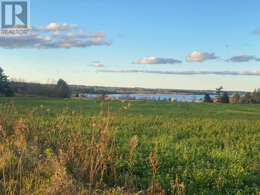 15 Acres Rustico Road — photo 11 of 30