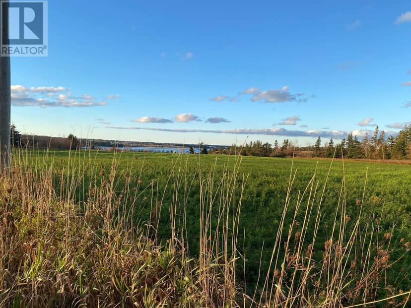 15 Acres Rustico Road — photo 4 of 30