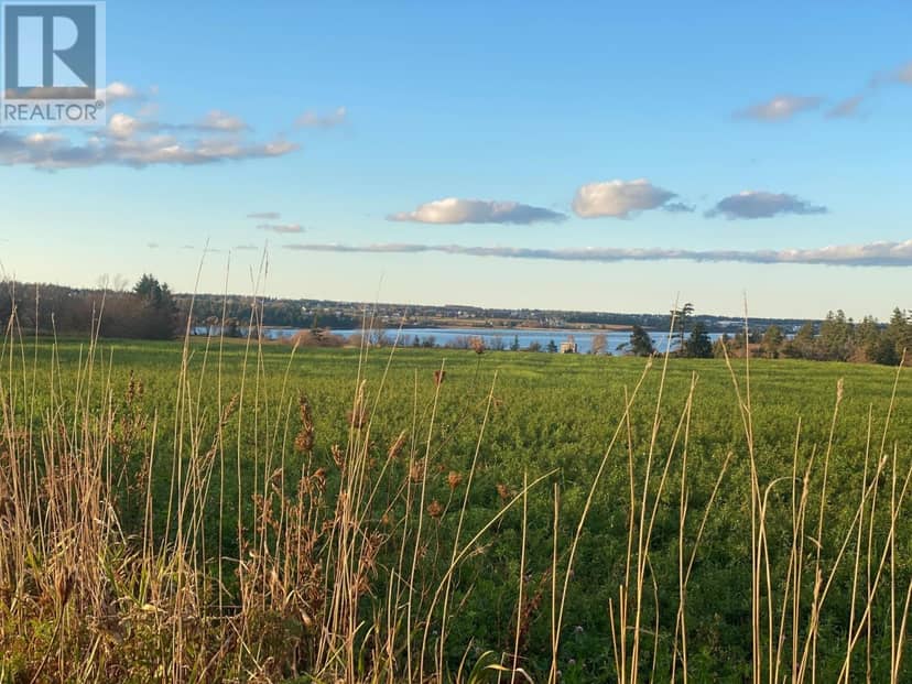 15 Acres Rustico Road — photo 6 of 30