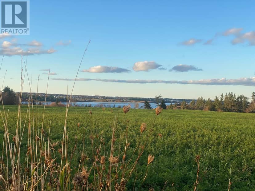 15 Acres Rustico Road — photo 7 of 30
