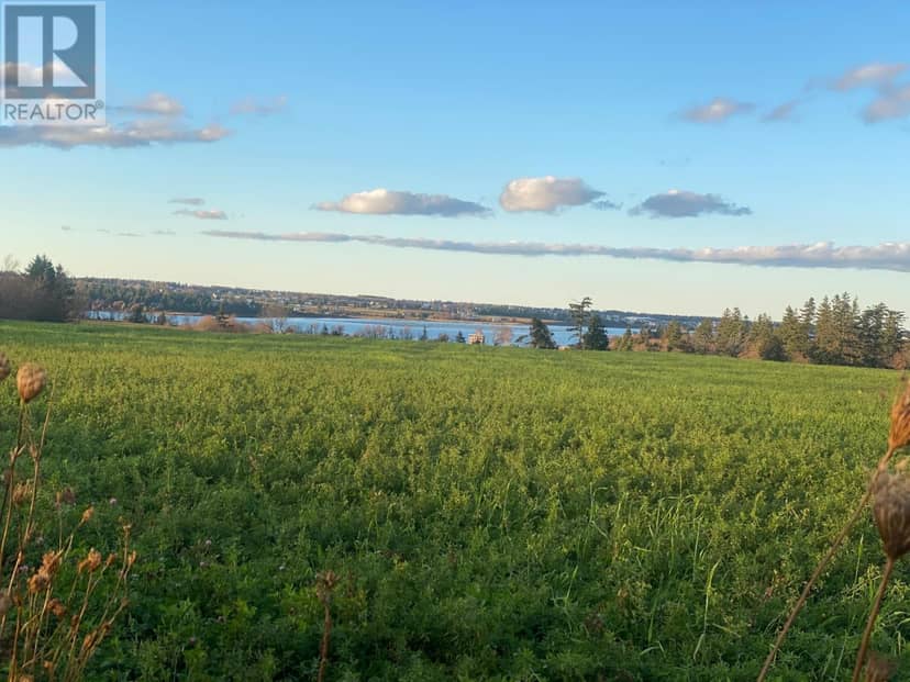 15 Acres Rustico Road — photo 9 of 30