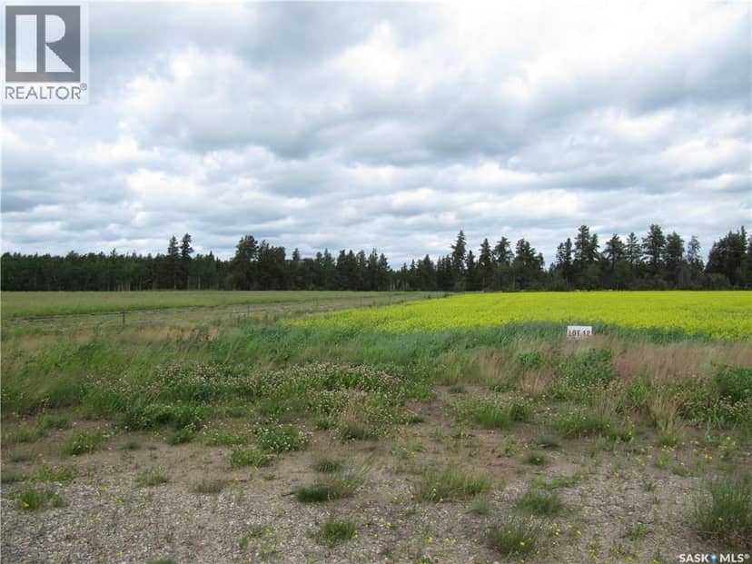 Lot 10 Parcel 3.55 Acres, Nipawin Rm No. 487, photo 4