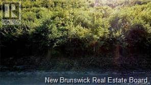 6 Tay Falls Road — photo 2 of 3