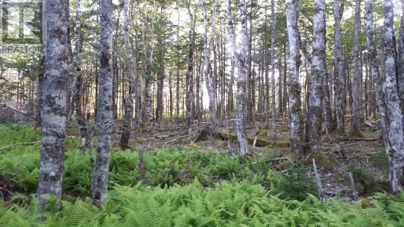 Lot 1A-79 Maple Dr — photo 17 of 19