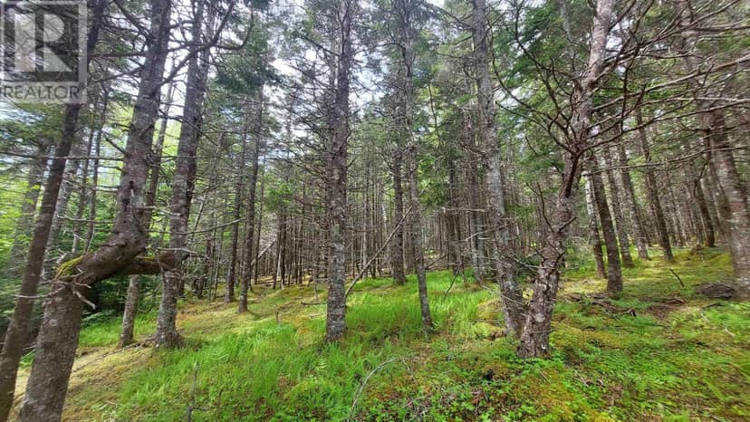 Lot 1A-79 Maple Dr — photo 18 of 19