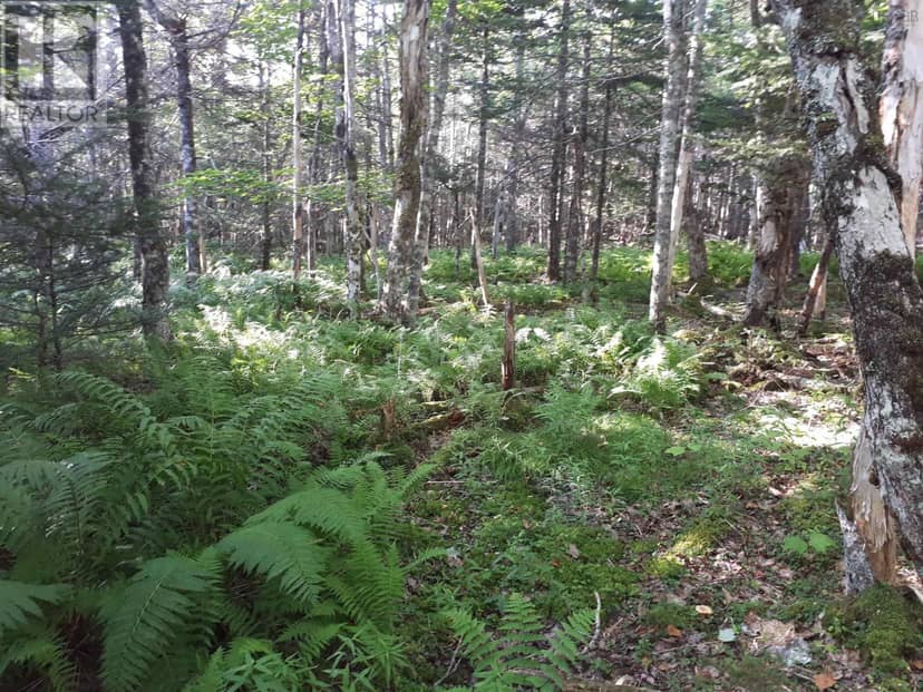Lot 1A-79 Maple Dr, Cape George Estates, photo 8