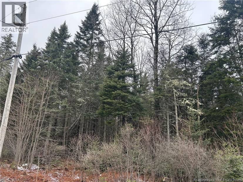 Lot 26-4 Backland — photo 1 of 2