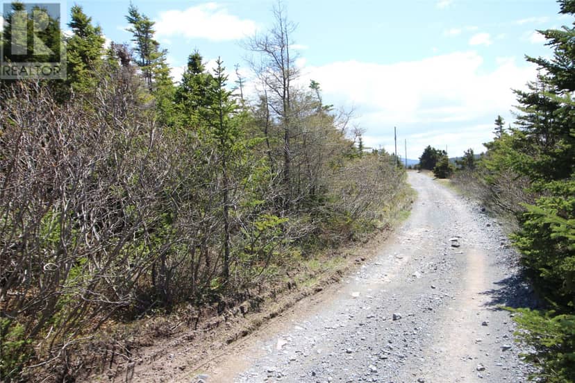 Lot 4 Bank Road, Cavendish, photo 5