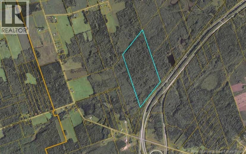 Lot River Glade — photo 1 of 2
