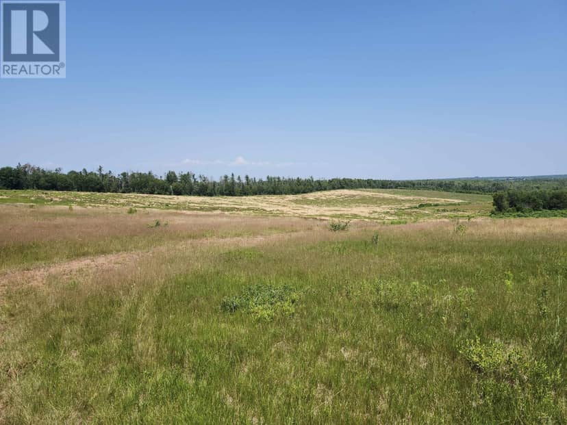 Acreage Selkirk Road — photo 2 of 5