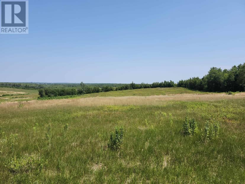 Acreage Selkirk Road — photo 3 of 5