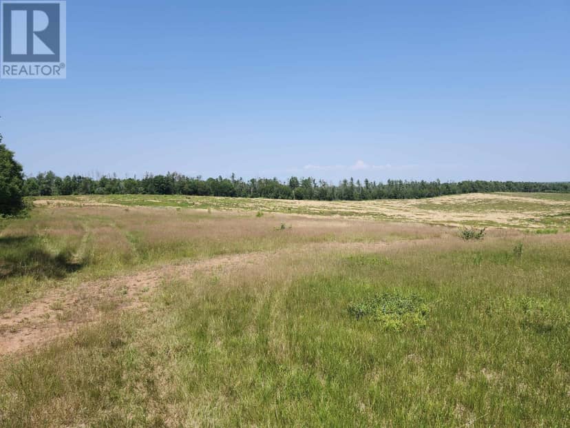Acreage Selkirk Road — photo 4 of 5