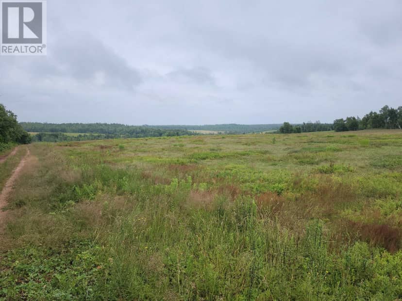 Acreage Colville Road — photo 4 of 8