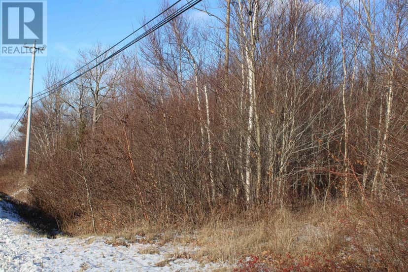 Parker Mountain Road — photo 9 of 10