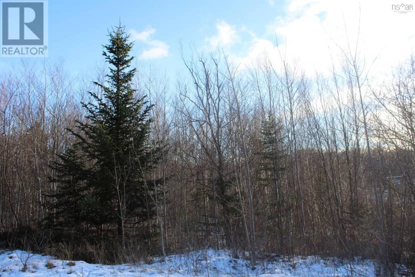 Parker Mountain Road — photo 3 of 10