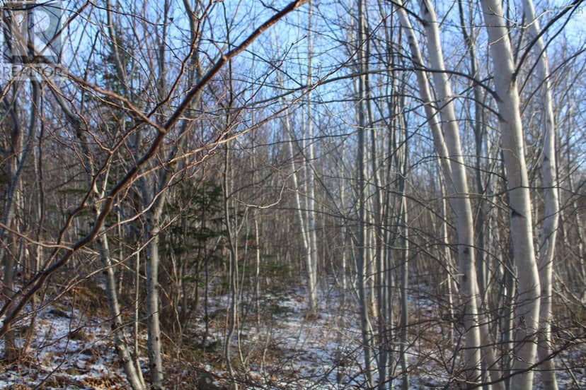 Parker Mountain Road — photo 8 of 10