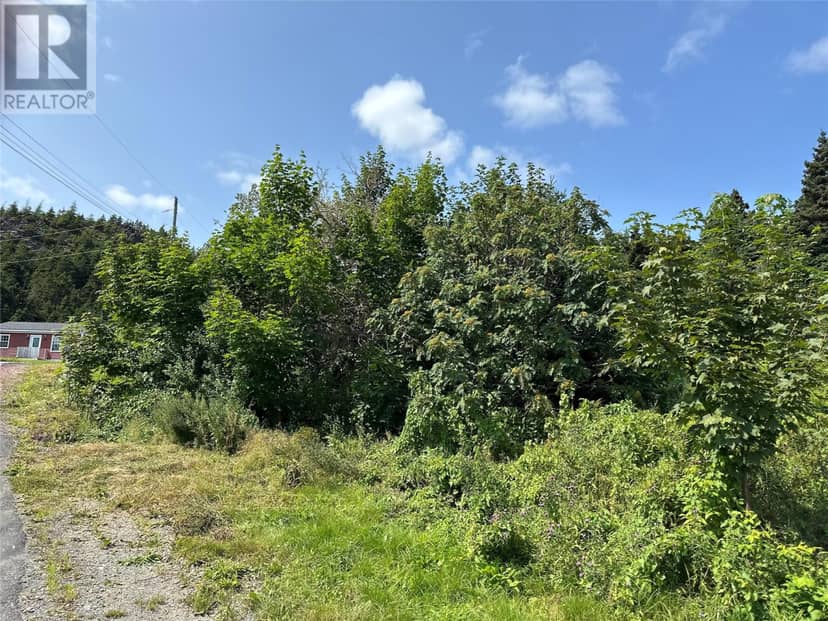 2 Merrigan's Lane — photo 14 of 40