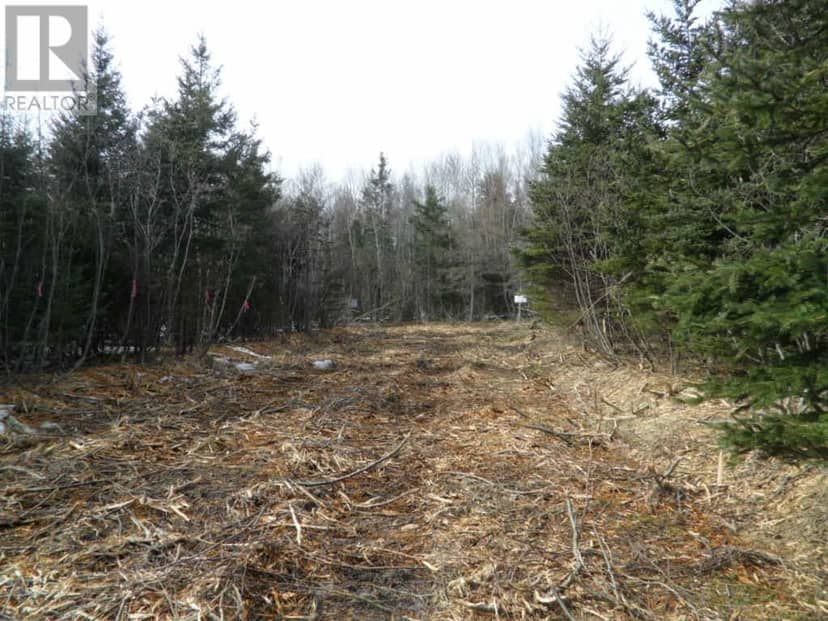 1V Highway 224 — photo 2 of 14