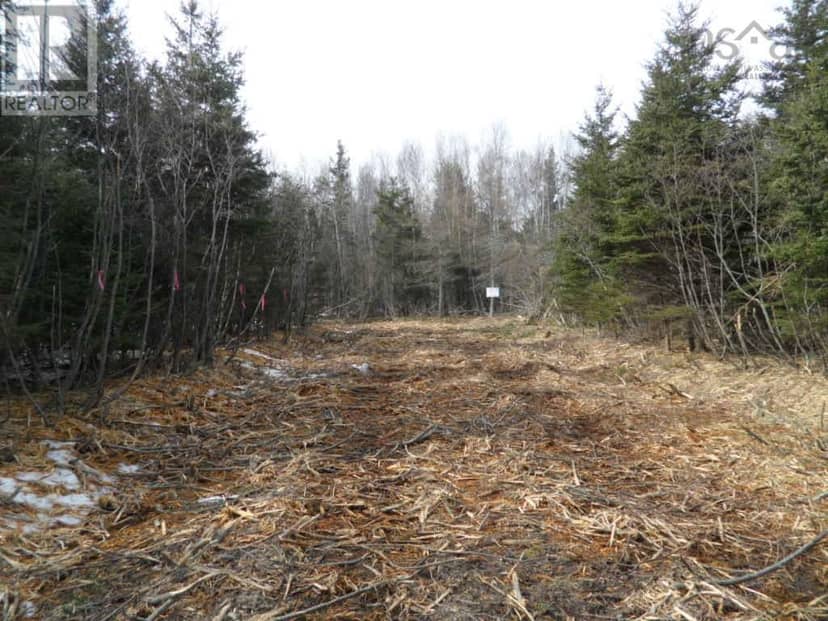 1V Highway 224 — photo 4 of 14