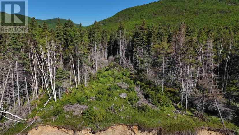 Cabot Trail — photo 11 of 26