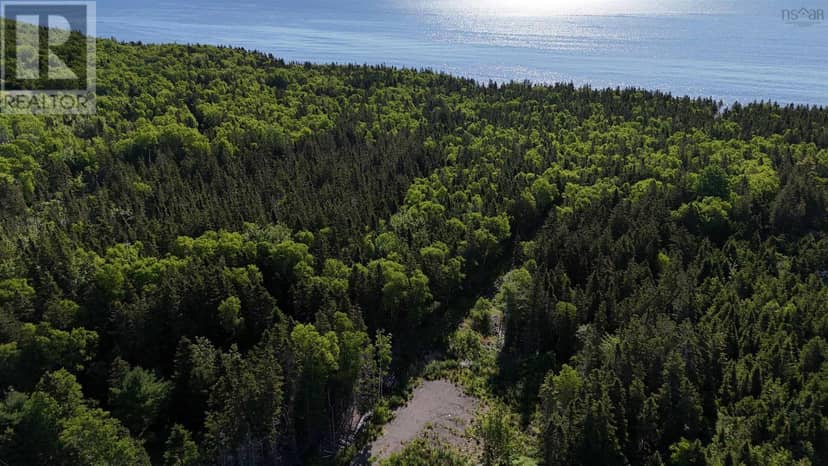 Cabot Trail — photo 25 of 26