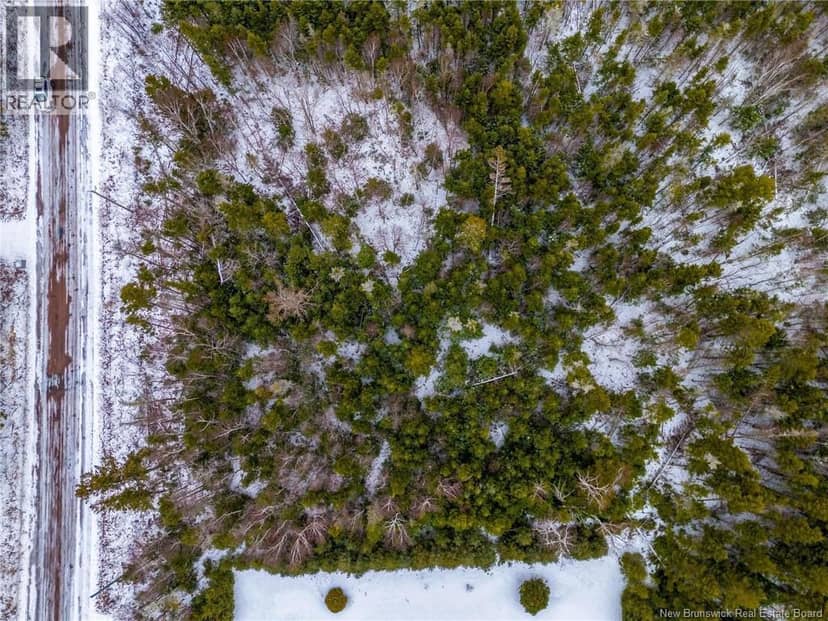 Lot Johnston Point Road — photo 12 of 17