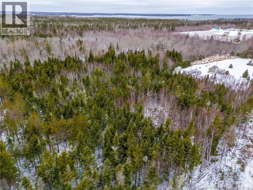 Lot Johnston Point Road — photo 7 of 17