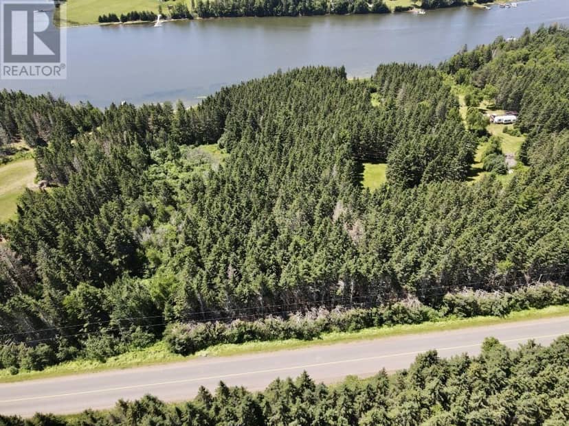 Trout River Road — photo 11 of 19