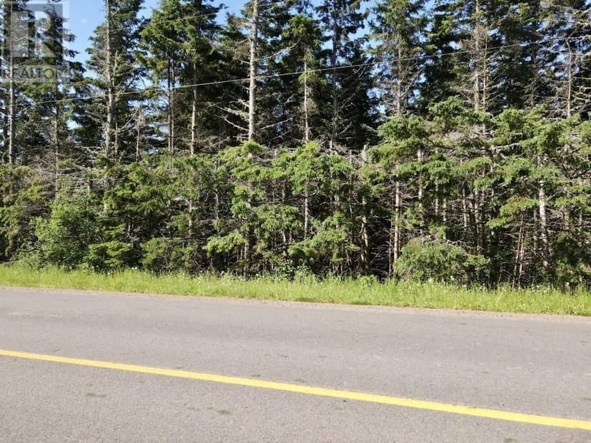 Trout River Road — photo 18 of 19