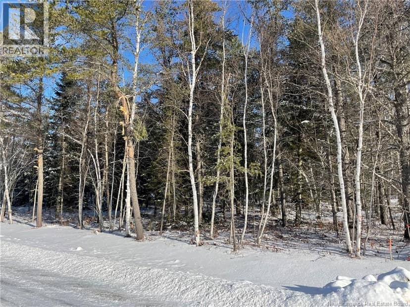 Lot 74-17 Honey Street — photo 2 of 6
