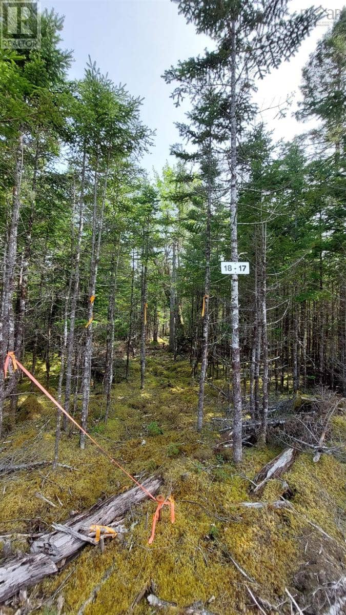 Lot 18 Highway 4 — photo 14 of 24