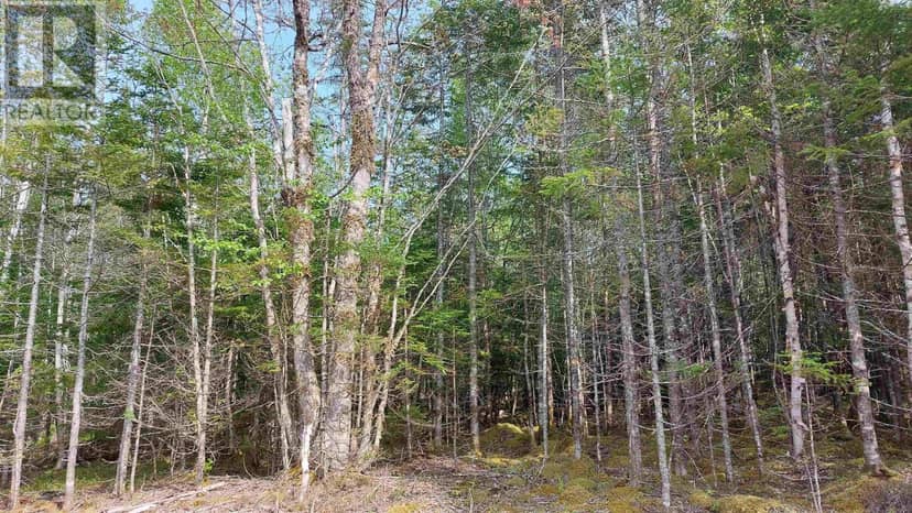 Lot 18 Highway 4 — photo 3 of 24