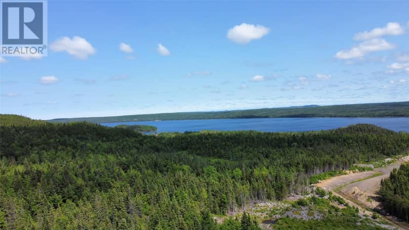 8 William White Boulevard, Lewisporte, photo 7