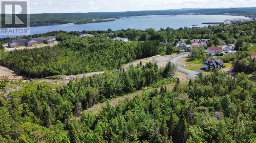 6 William White Boulevard, Lewisporte, photo 5