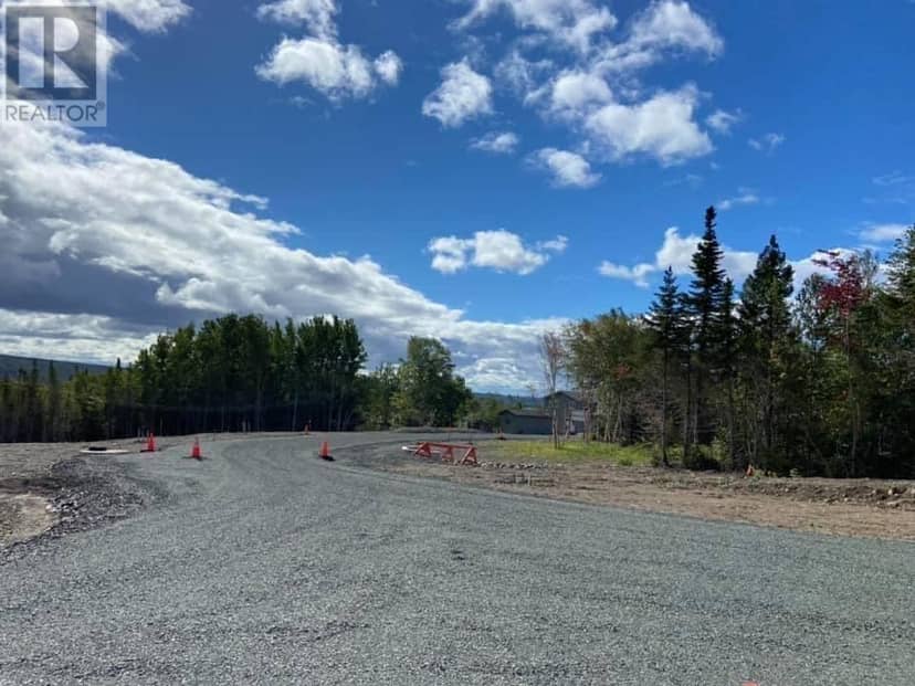 4 William White Boulevard, Lewisporte, photo 3