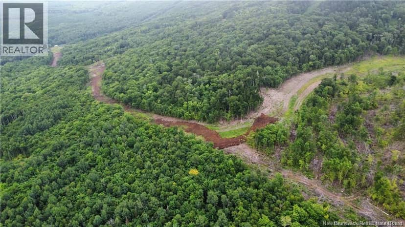 Lot 14 Crabbe Mountain, Central Hainesville, photo 7