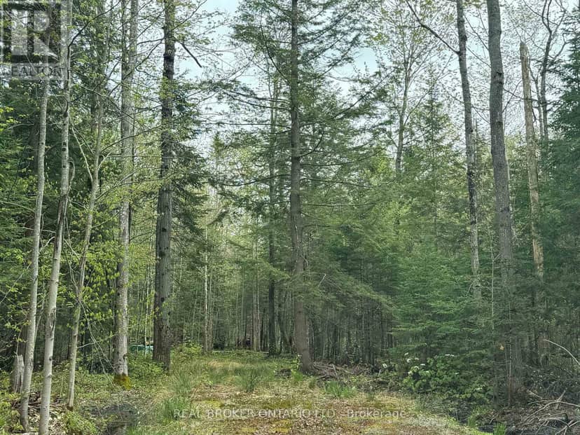 0 Bear Cave Road — photo 10 of 12
