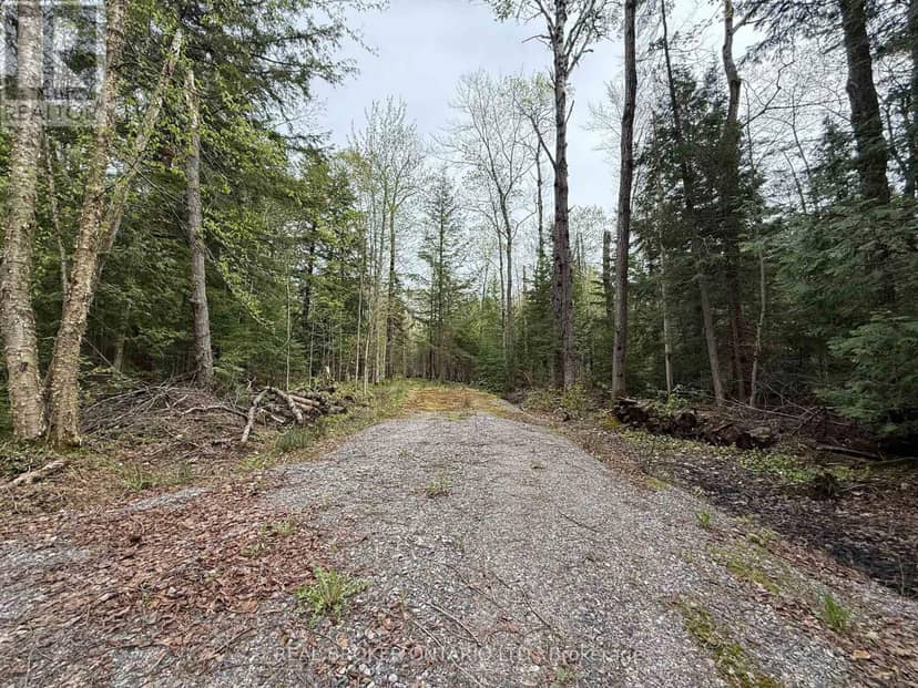0 Bear Cave Road — photo 5 of 12