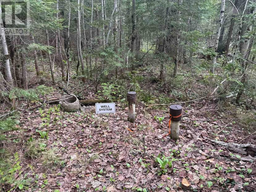 0 Bear Cave Road — photo 7 of 12