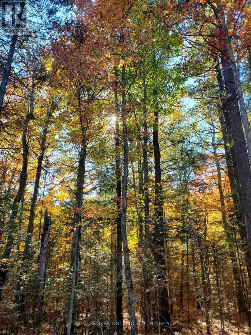 0 Bear Cave Road — photo 9 of 12